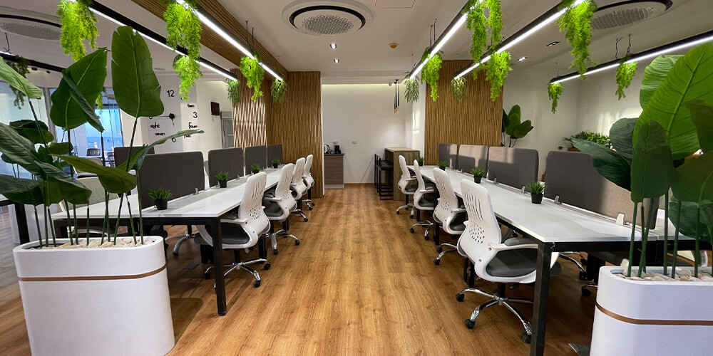 New Cairo Office